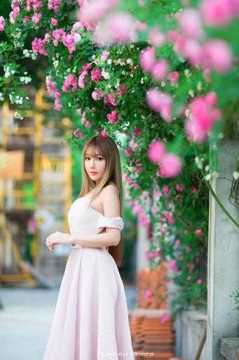 斗破苍穹年番在线观看完整版免费